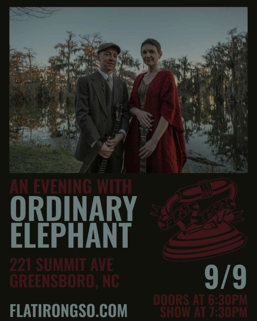 an evening with ordinary elephant